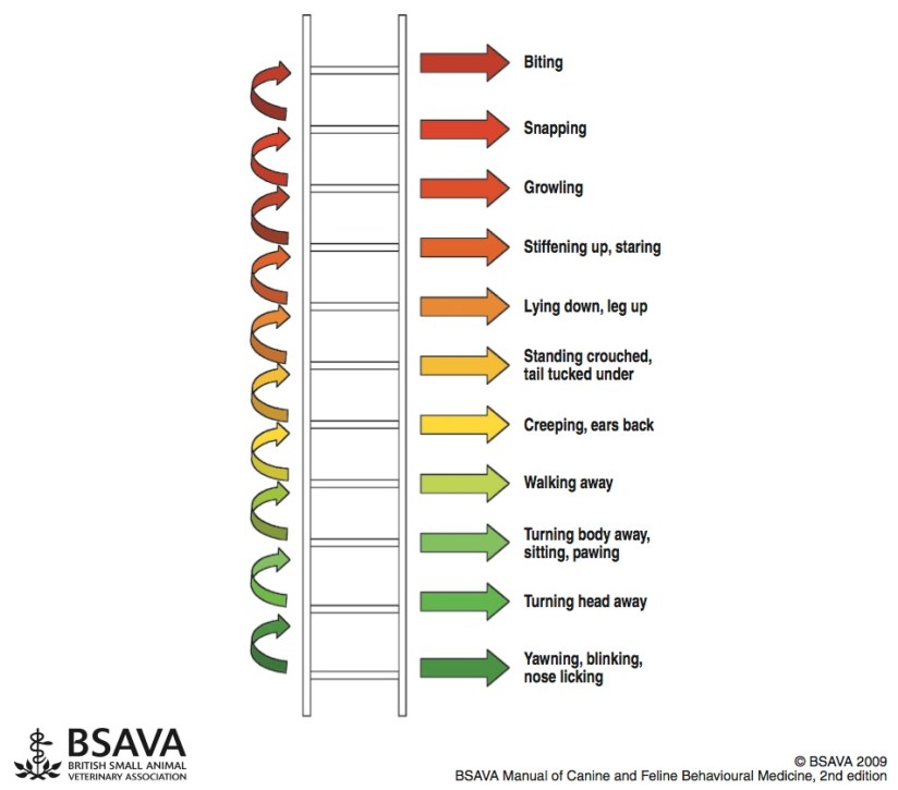 ladder of aggression